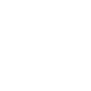 ico31 ico31